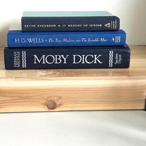 Blue books, home decor, set of 3, Moby Dick/Wells